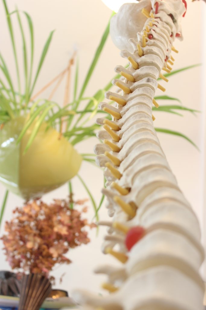 Chiropractic Care near me